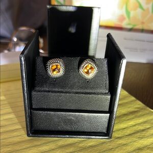 Elegant Silver and Gold Stud Earrings